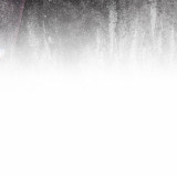 8035d0850dcda1a3e251b6affd72b921
