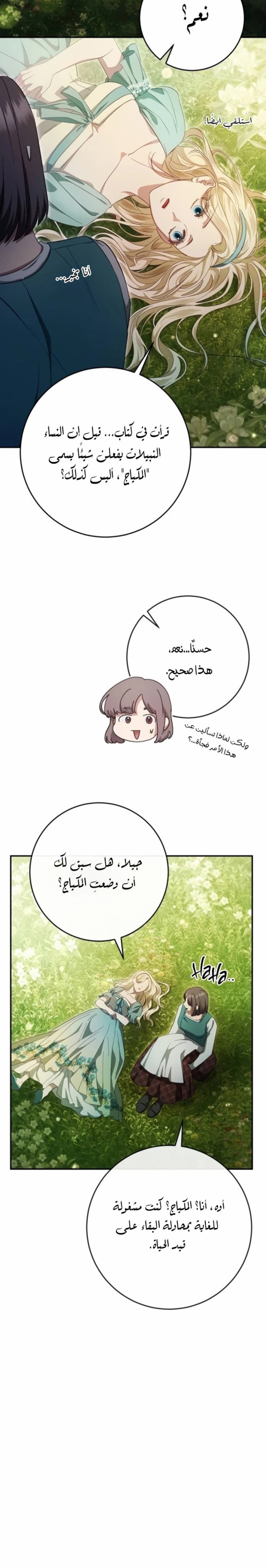 06 003