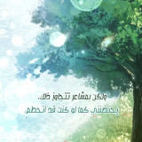 b7ef55af24535c8dfdc70655d66d1c03